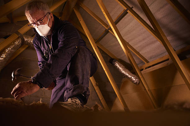 Best Specialty Insulation in Kraemer, LA